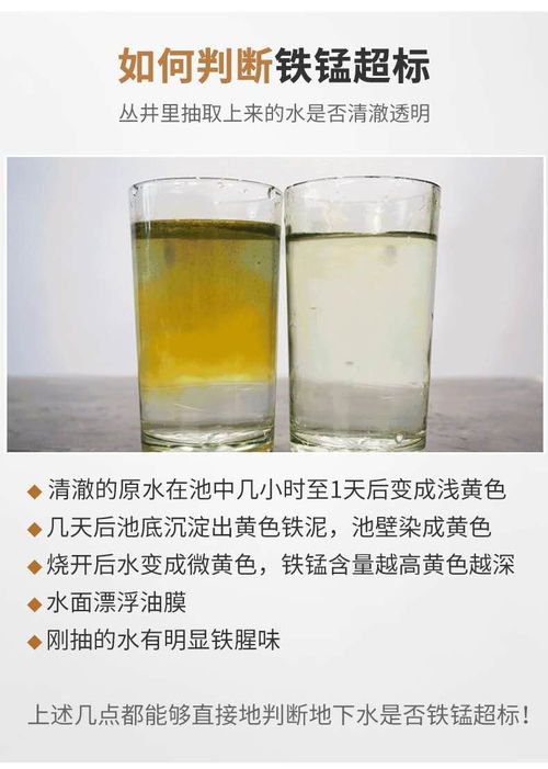 河口過濾泥沙的純凈水設(shè)備成本解析與凈源水處理設(shè)備廠家概覽