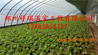 單體蔬菜大棚簡易大棚設計建造商大棚配件銷售,單體蔬菜大棚簡易大棚設計建造商大棚配件銷售生產(chǎn)廠家,單體蔬菜大棚簡易大棚設計建造商大棚配件銷售價格